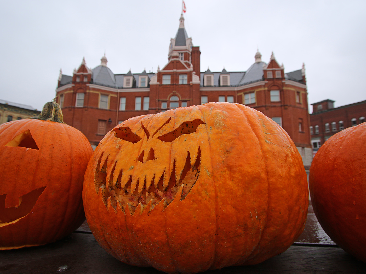 Stratford Pumpkin Parade 2022 - Downtown Stratford Business Improvement ...