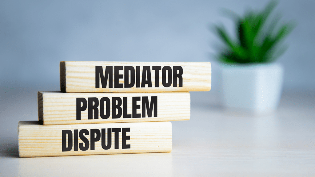 What is mediation by Alexandra J. Bignucolo