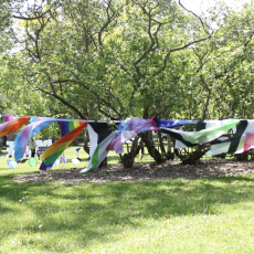 Screenshot 2025-08-12 at 11.27.52 AM